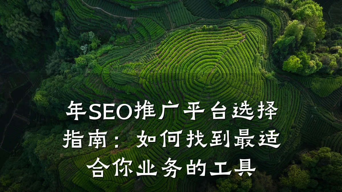 年SEO推广平台选择指南:如何找到最适合你业务的工具