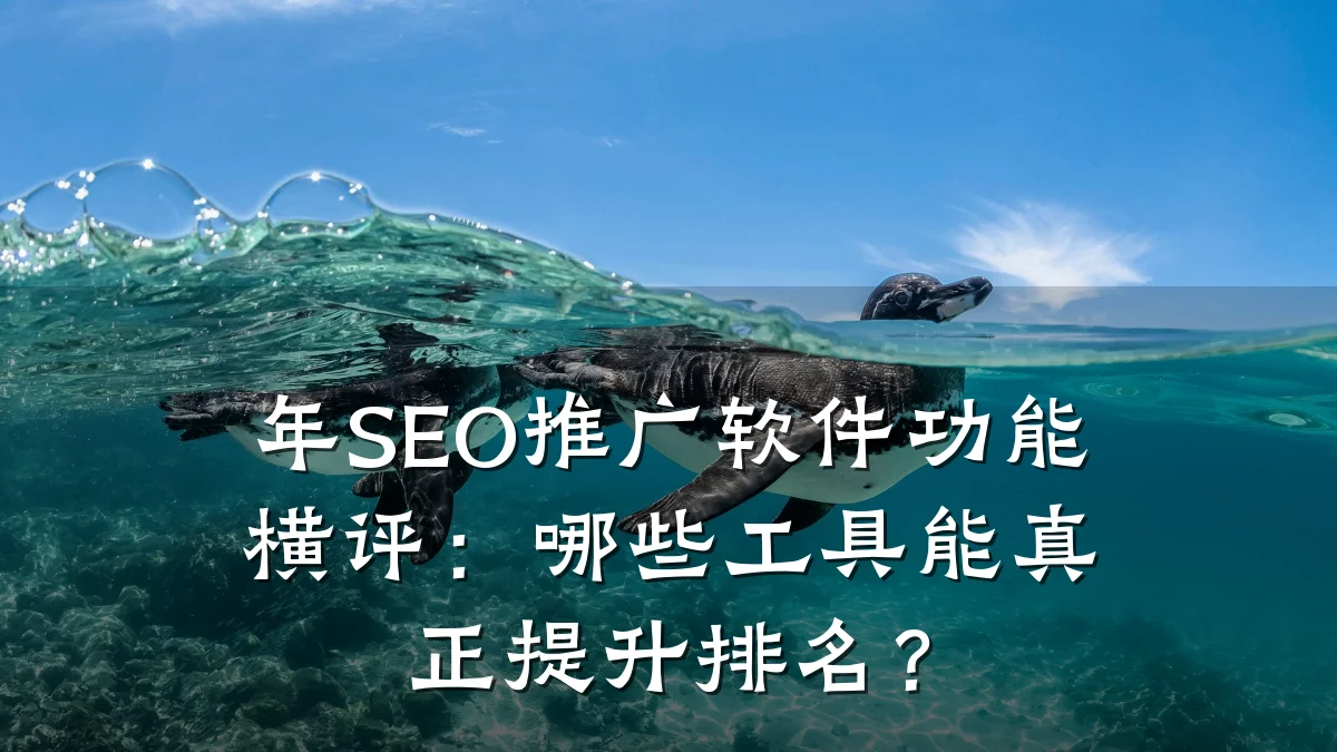 年SEO推广软件功能横评:哪些工具能真正提升排名?