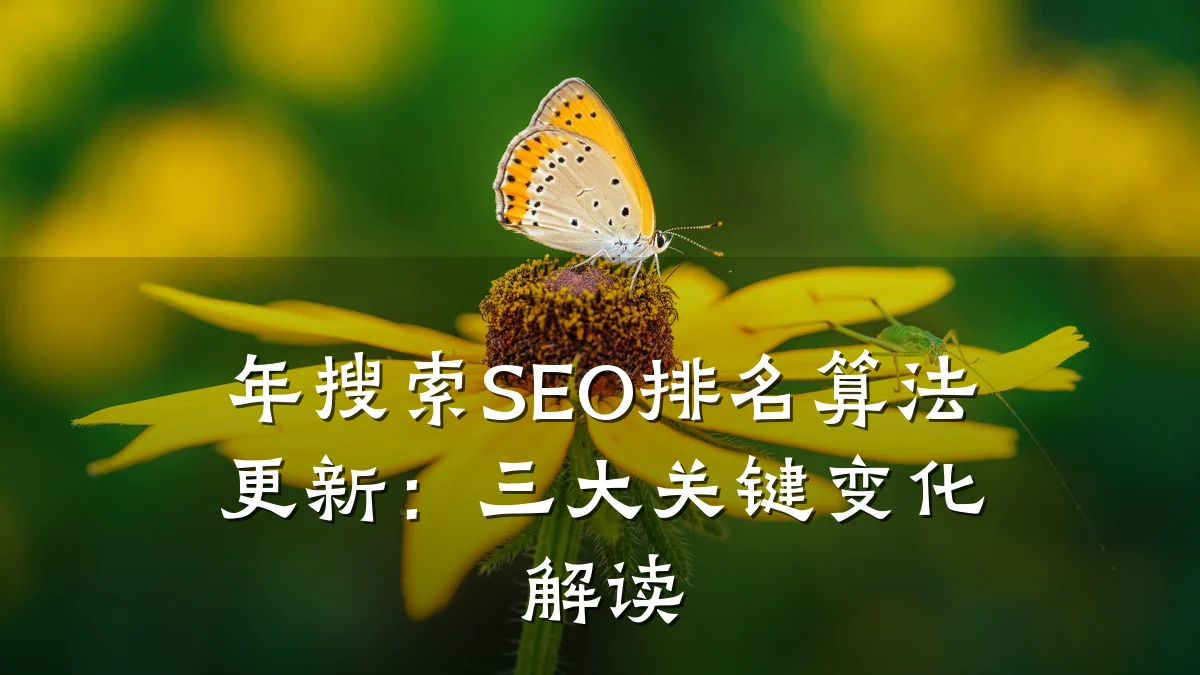年搜索SEO排名算法更新:三大关键变化解读