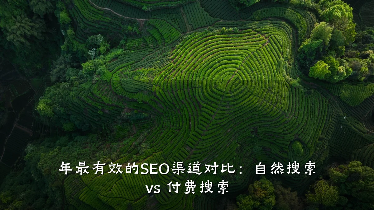 年最有效的SEO渠道对比:自然搜索 vs 付费搜索