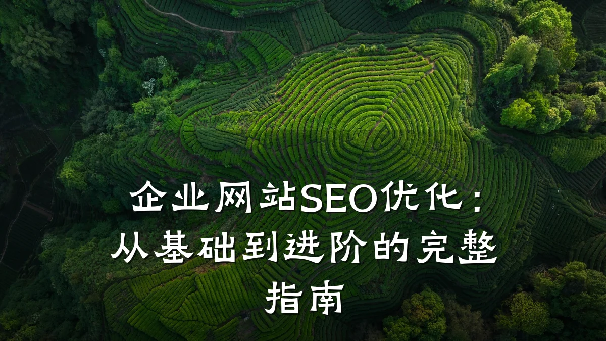 企业网站SEO优化:从基础到进阶的完整指南