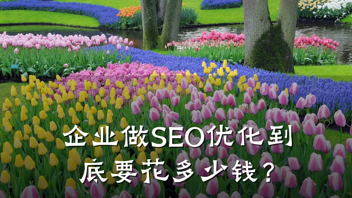 企业做SEO优化到底要花多少钱?