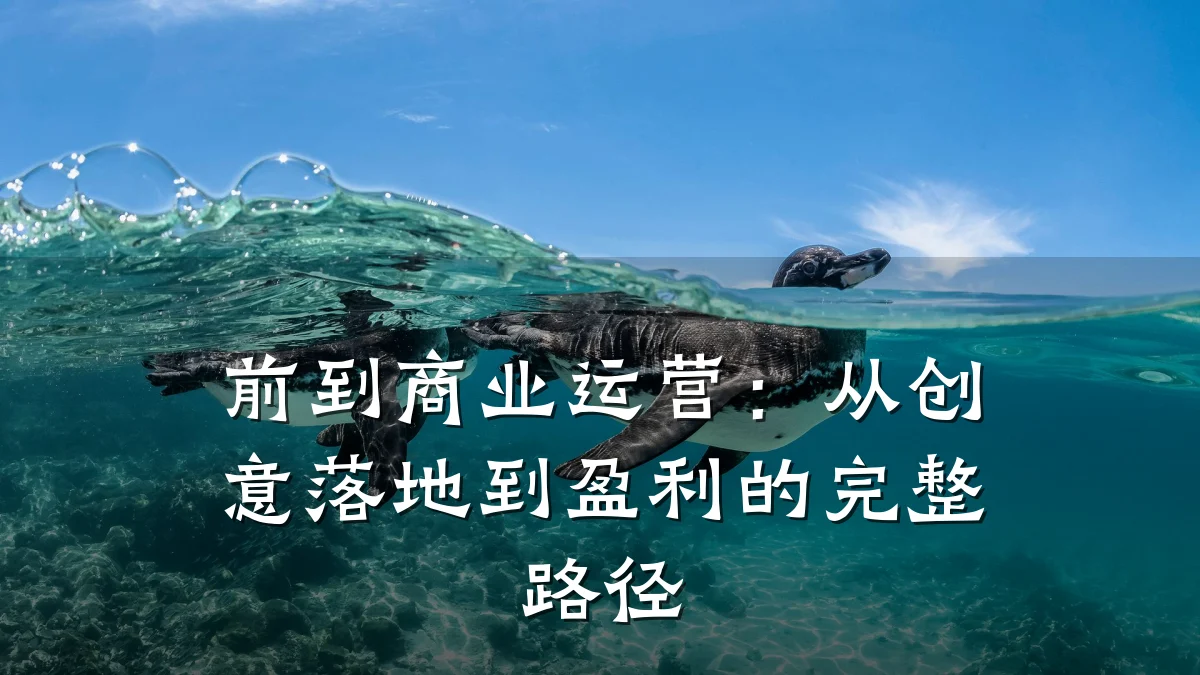前到商业运营:从创意落地到盈利的完整路径