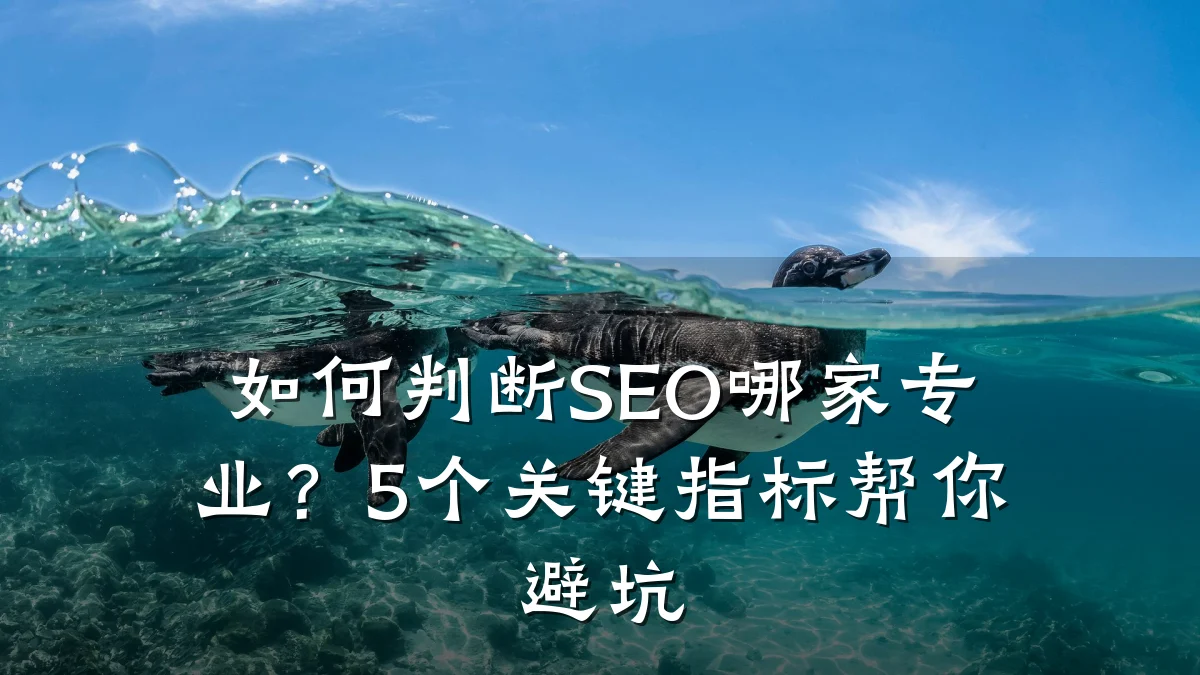 如何判断SEO哪家专业?5个关键指标帮你避坑