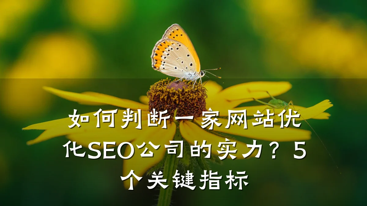 如何判断一家网站优化SEO公司的实力?5个关键指标