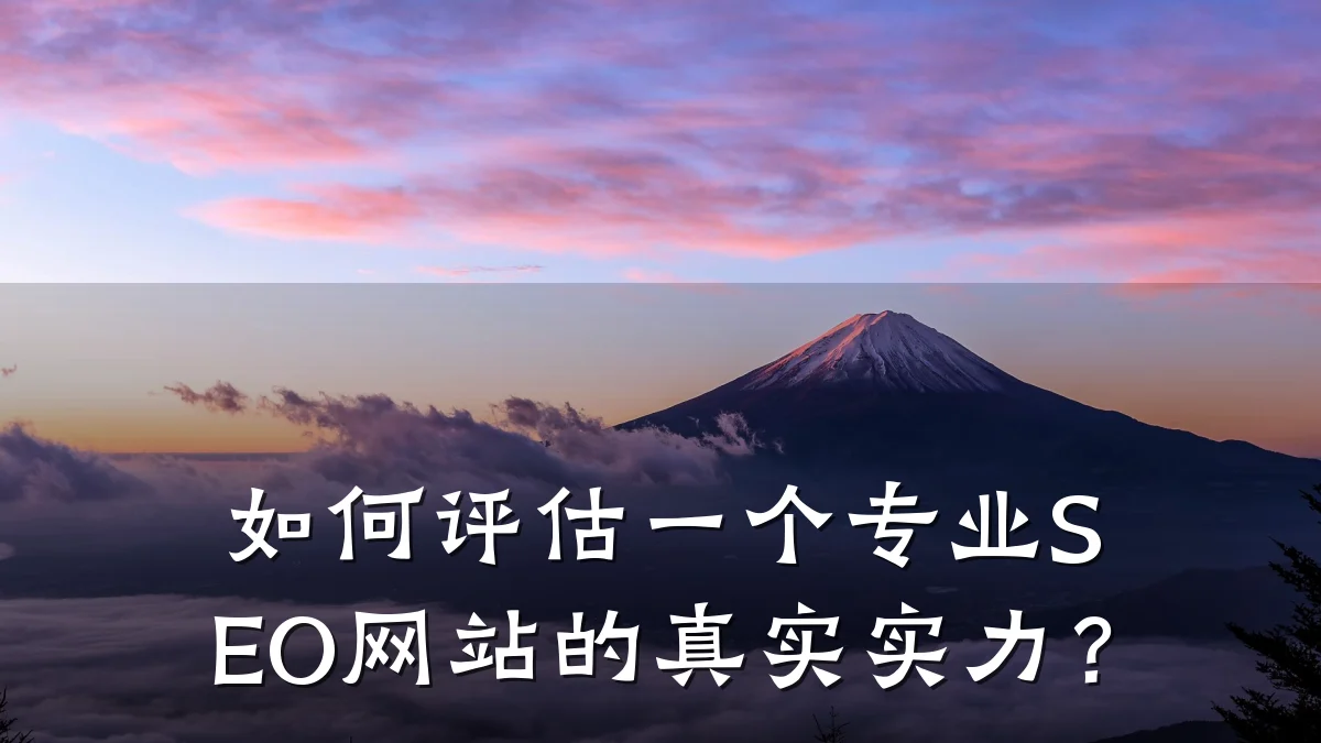 如何评估一个专业SEO网站的真实实力?