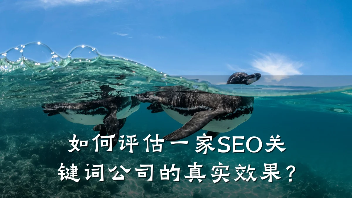 如何评估一家SEO关键词公司的真实效果?