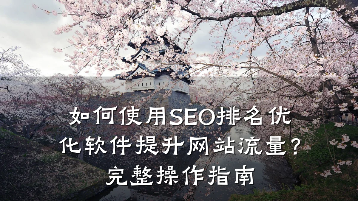 如何使用SEO排名优化软件提升网站流量?完整操作指南