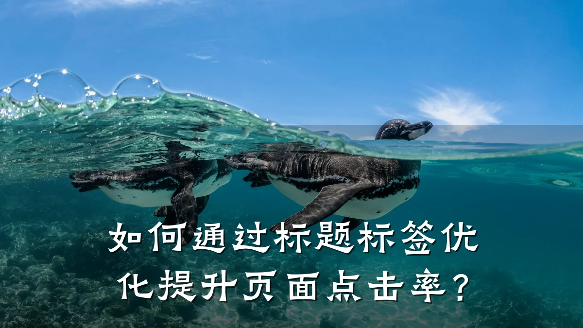 如何通过标题标签优化提升页面点击率?