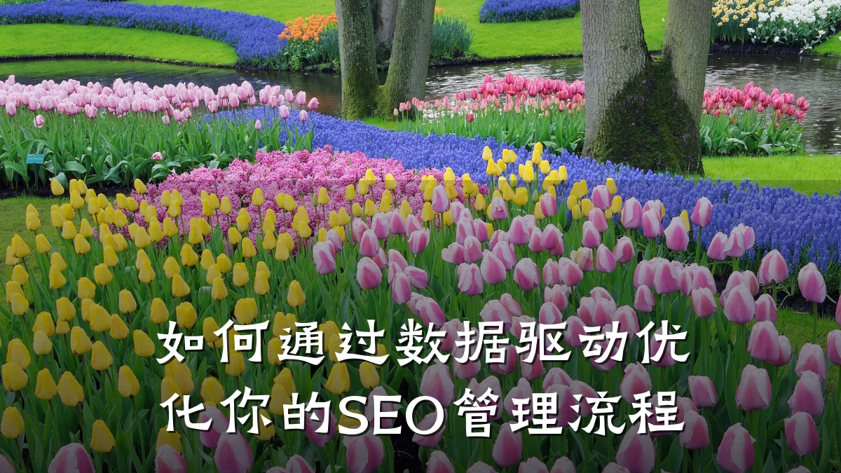 如何通过数据驱动优化你的SEO管理流程