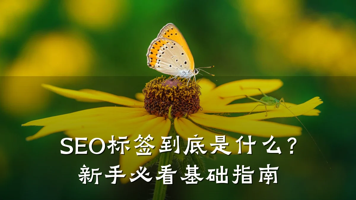 SEO标签到底是什么?新手必看基础指南