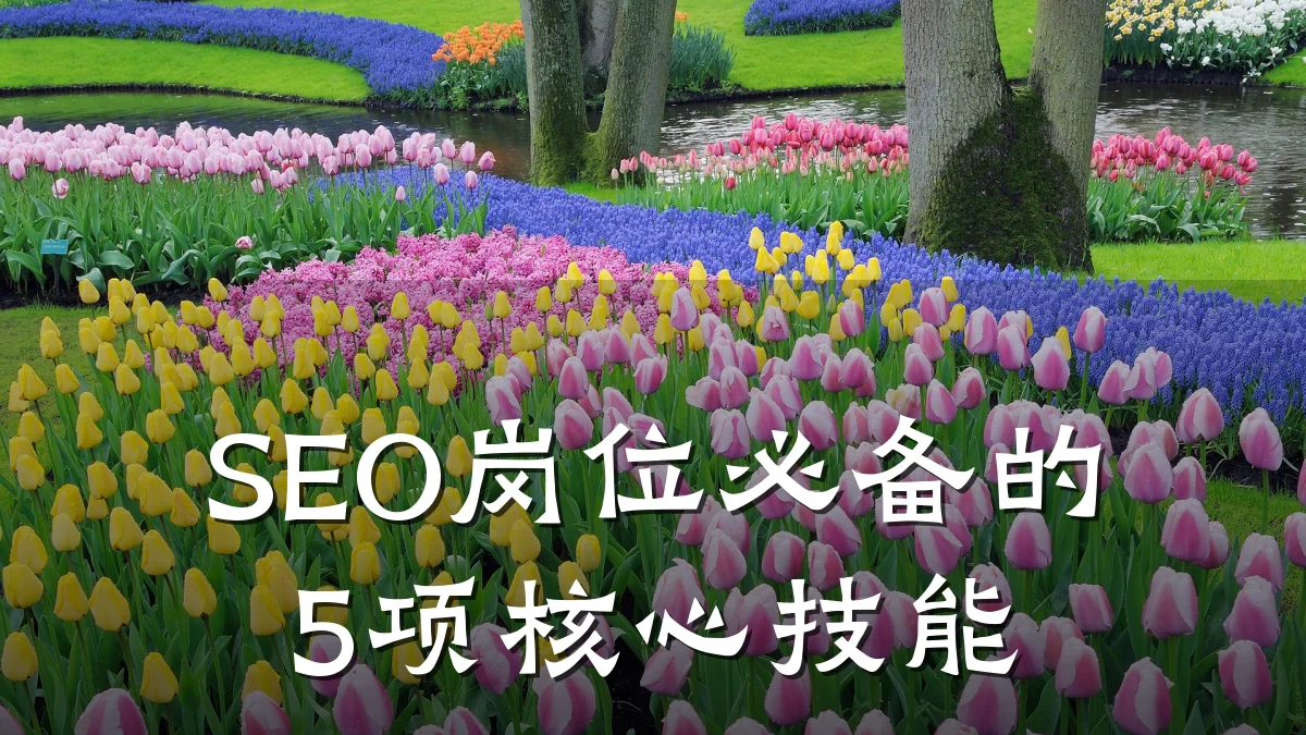 SEO岗位必备的5项核心技能