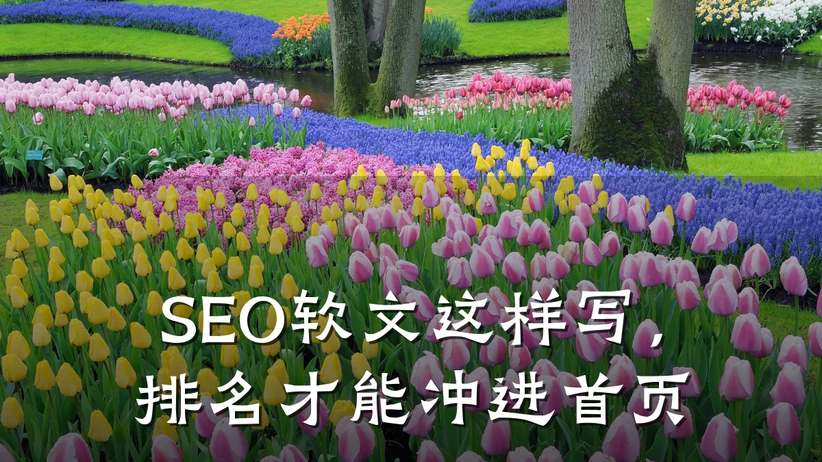 SEO软文这样写,排名才能冲进首页