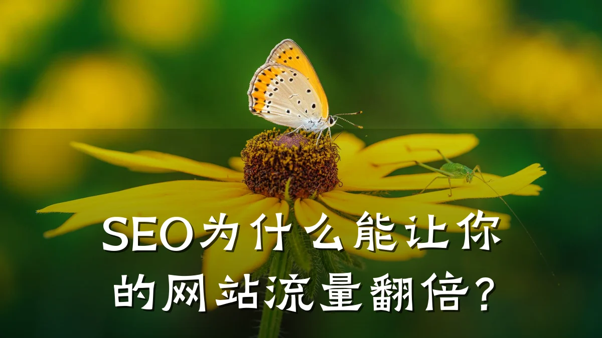 SEO为什么能让你的网站流量翻倍?