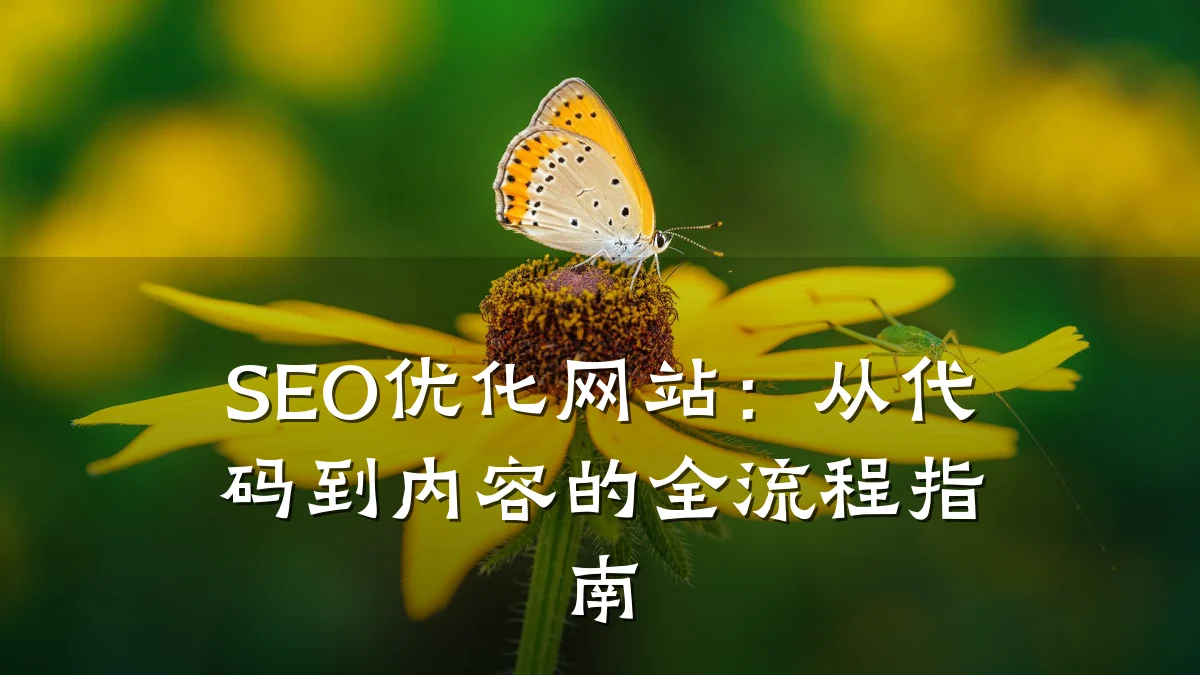 SEO优化网站：从代码到内容的全流程指南
