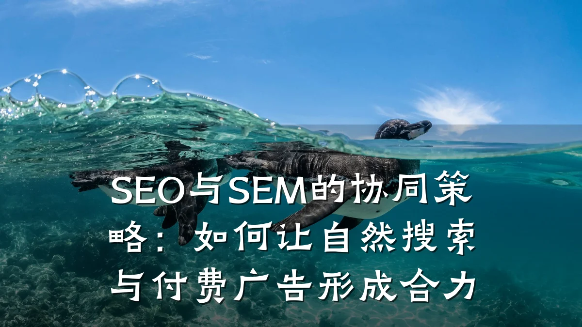SEO与SEM的协同策略:如何让自然搜索与付费广告形成合力