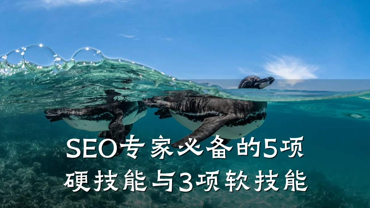 SEO专家必备的5项硬技能与3项软技能