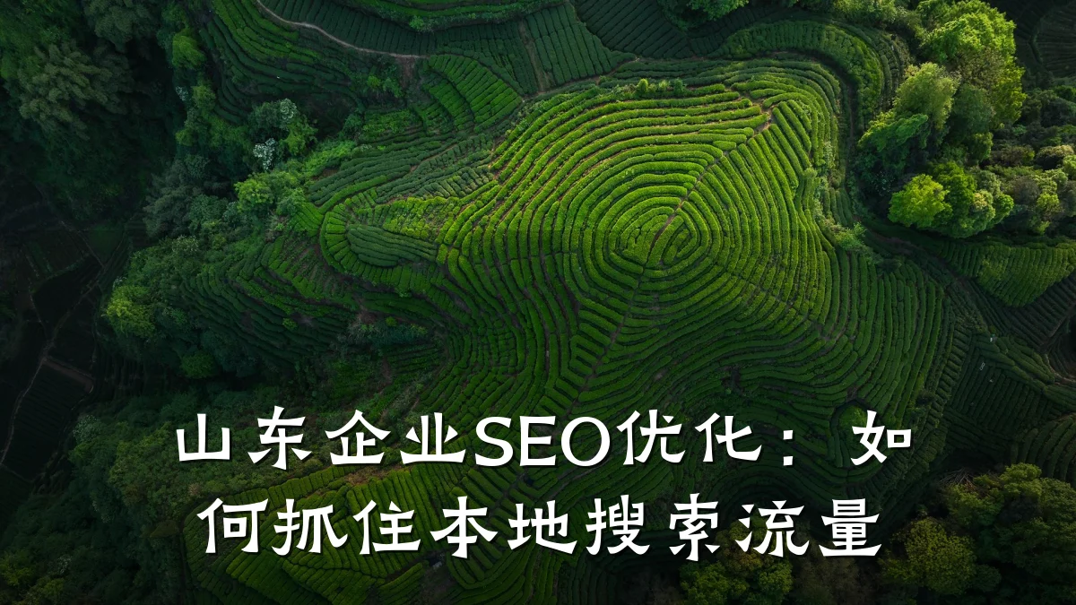 山东企业SEO优化：如何抓住本地搜索流量
