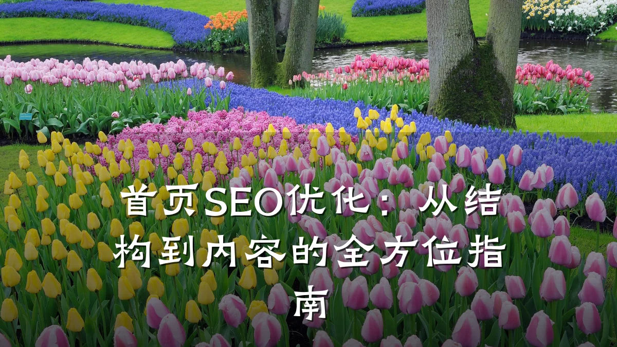 首页SEO优化:从结构到内容的全方位指南