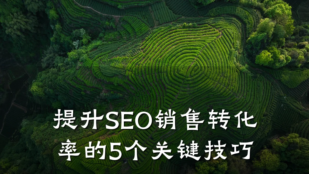 提升SEO销售转化率的5个关键技巧