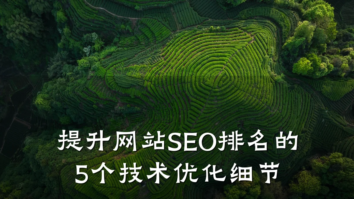 提升网站SEO排名的5个技术优化细节