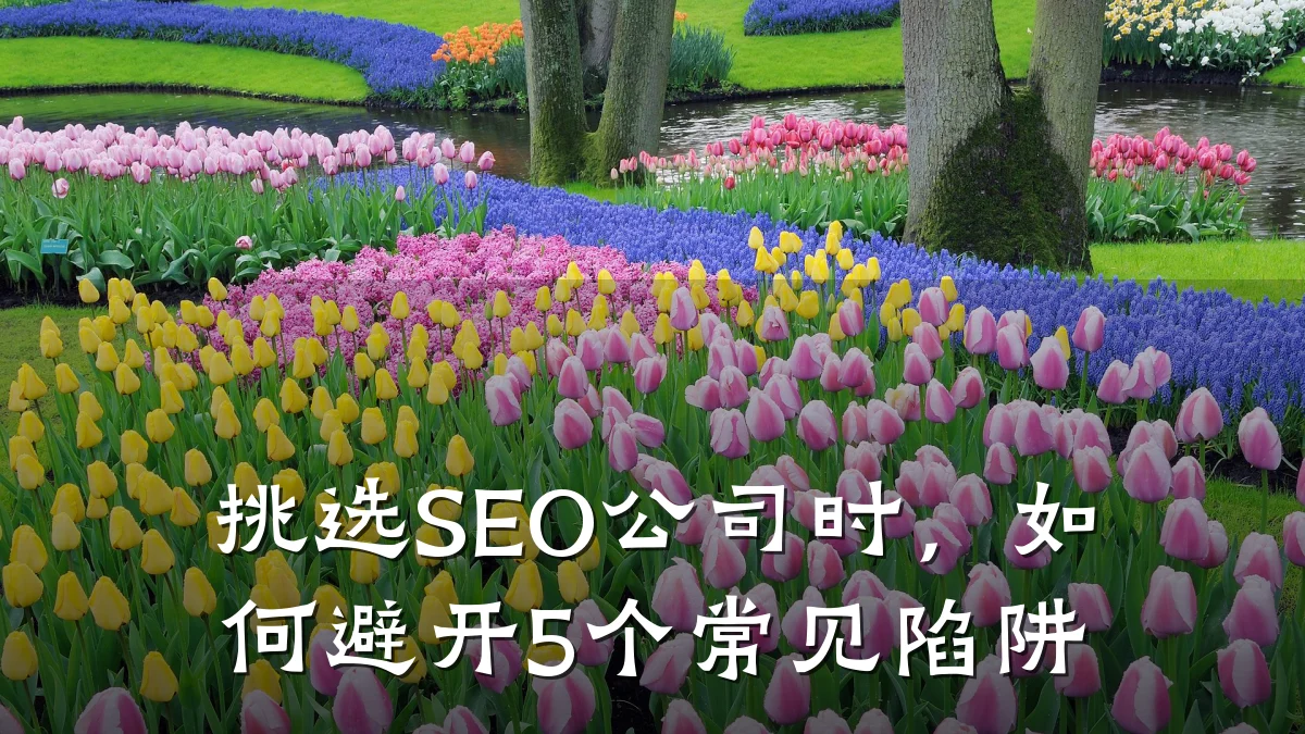 挑选SEO公司时,如何避开5个常见陷阱
