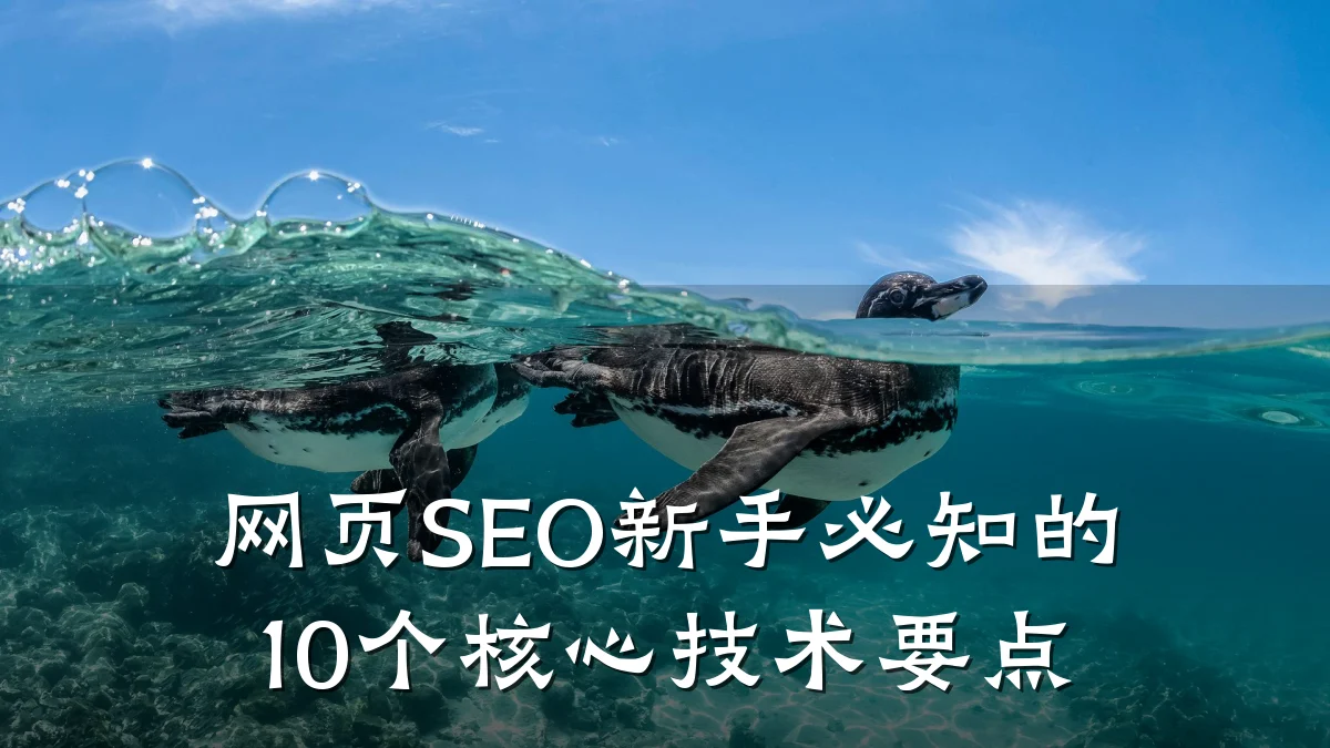 网页SEO新手必知的10个核心技术要点