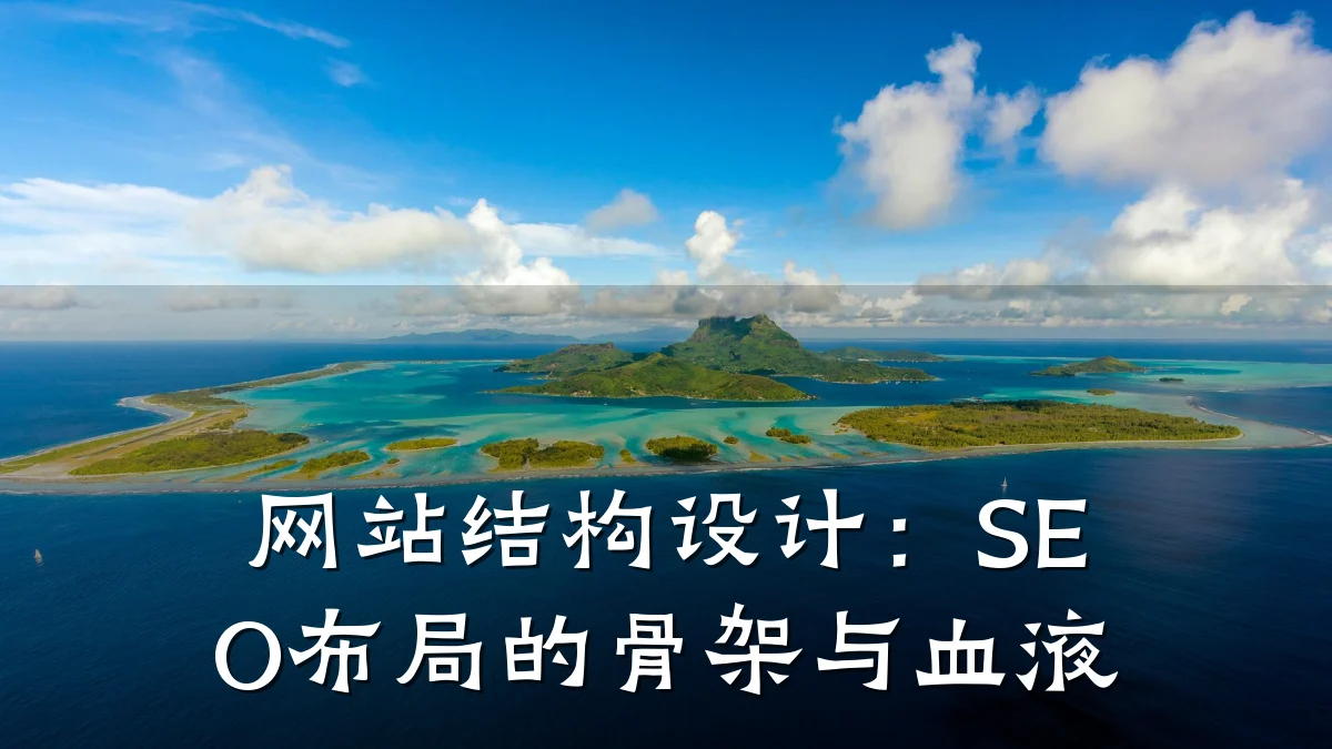 网站结构设计:SEO布局的骨架与血液
