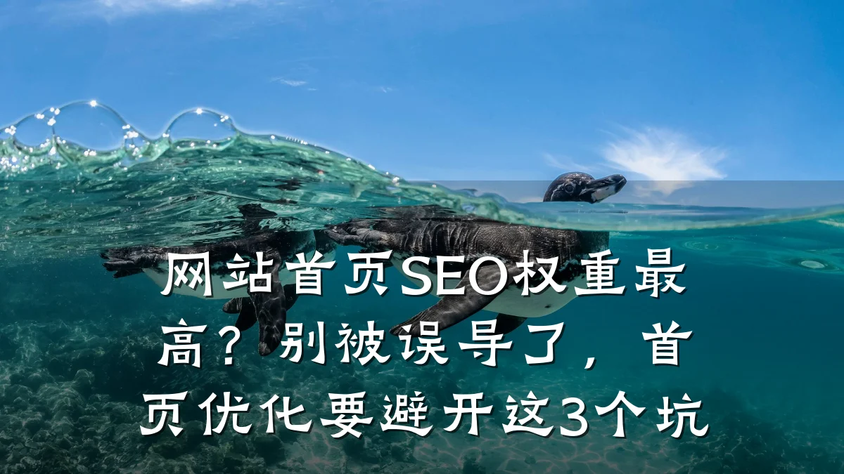 网站首页SEO权重最高?别被误导了,首页优化要避开这3个坑
