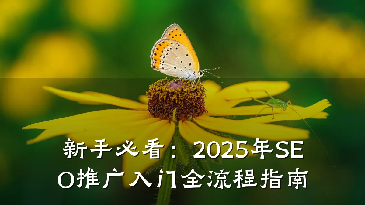 新手必看:2025年SEO推广入门全流程指南