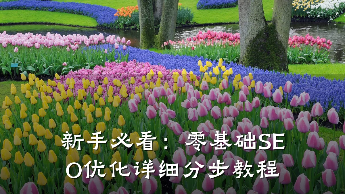 新手必看:零基础SEO优化详细分步教程