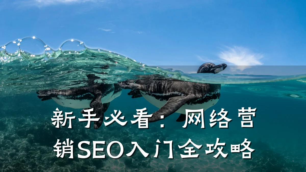 新手必看：网络营销SEO入门全攻略