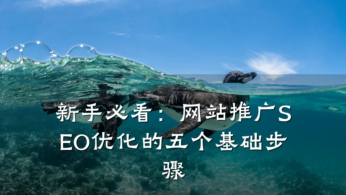 新手必看:网站推广SEO优化的五个基础步骤