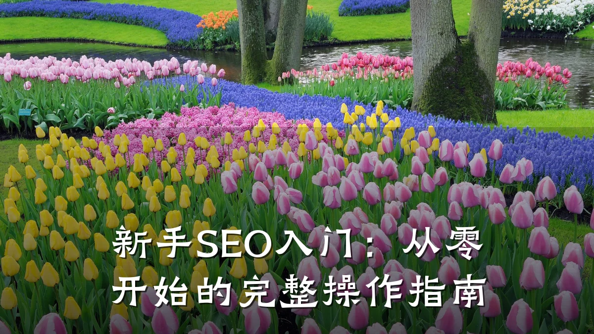 新手SEO入门:从零开始的完整操作指南