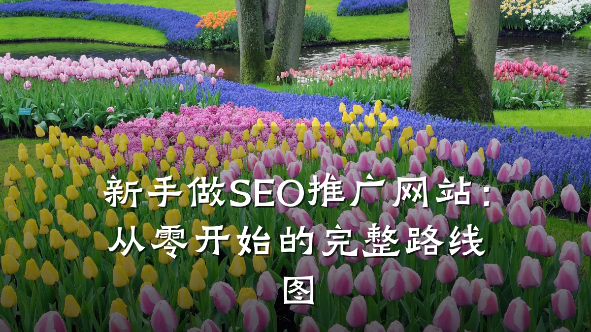 新手做SEO推广网站:从零开始的完整路线图