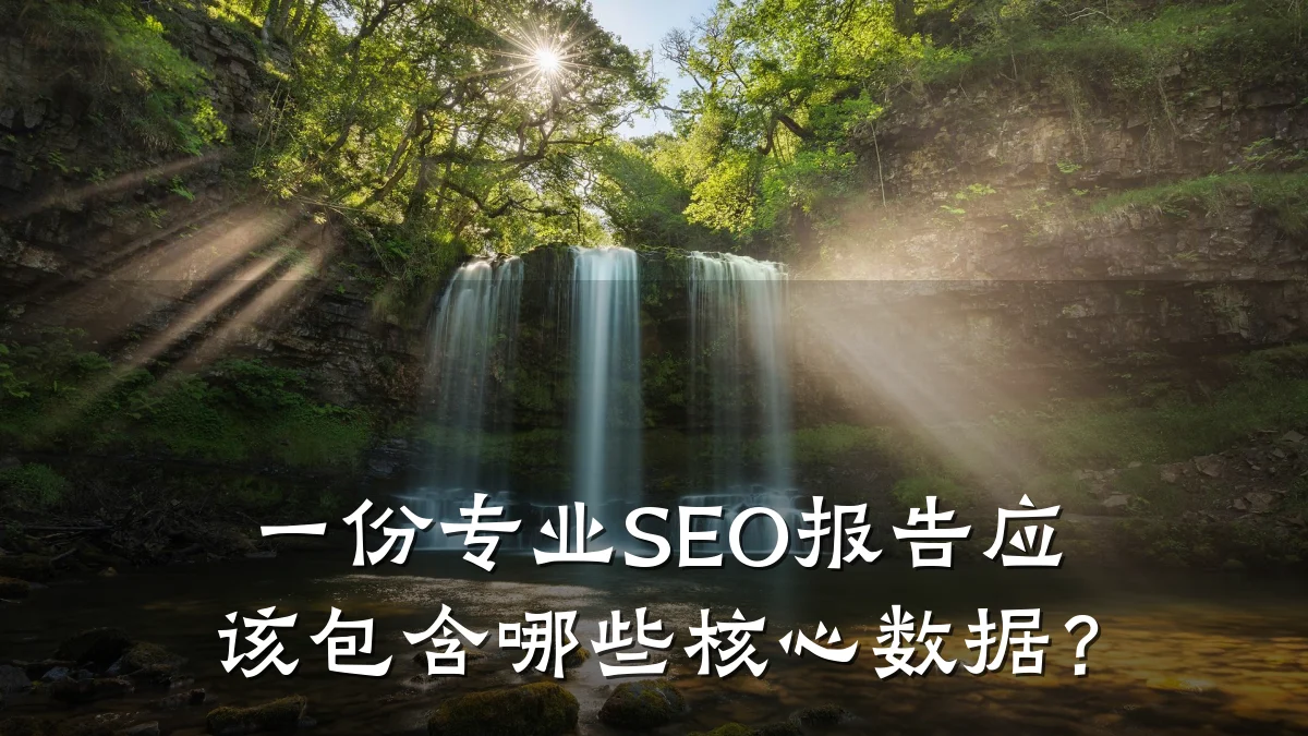 一份专业SEO报告应该包含哪些核心数据?