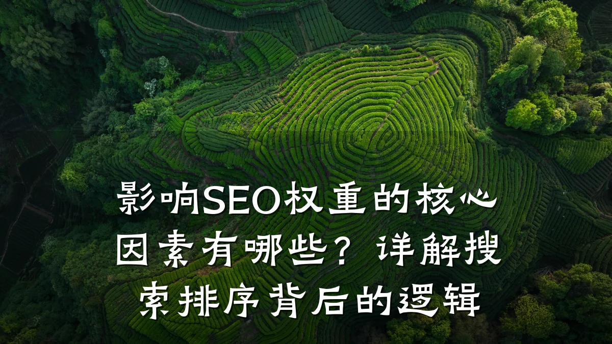 影响SEO权重的核心因素有哪些？详解搜索排序背后的逻辑