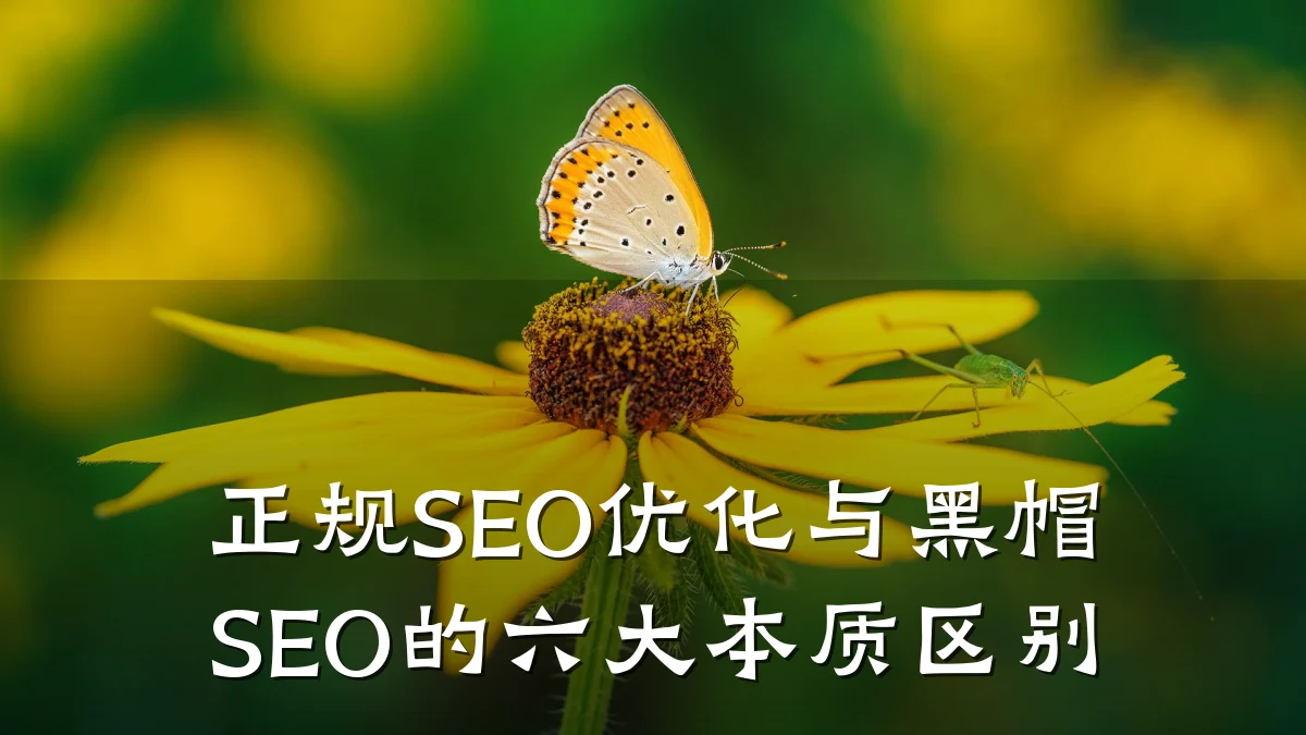 正规SEO优化与黑帽SEO的六大本质区别