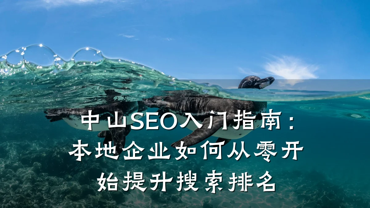 中山SEO入门指南:本地企业如何从零开始提升搜索排名