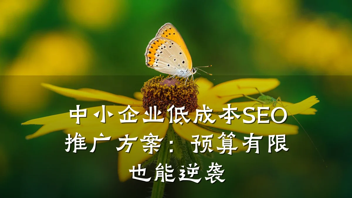中小企业低成本SEO推广方案：预算有限也能逆袭