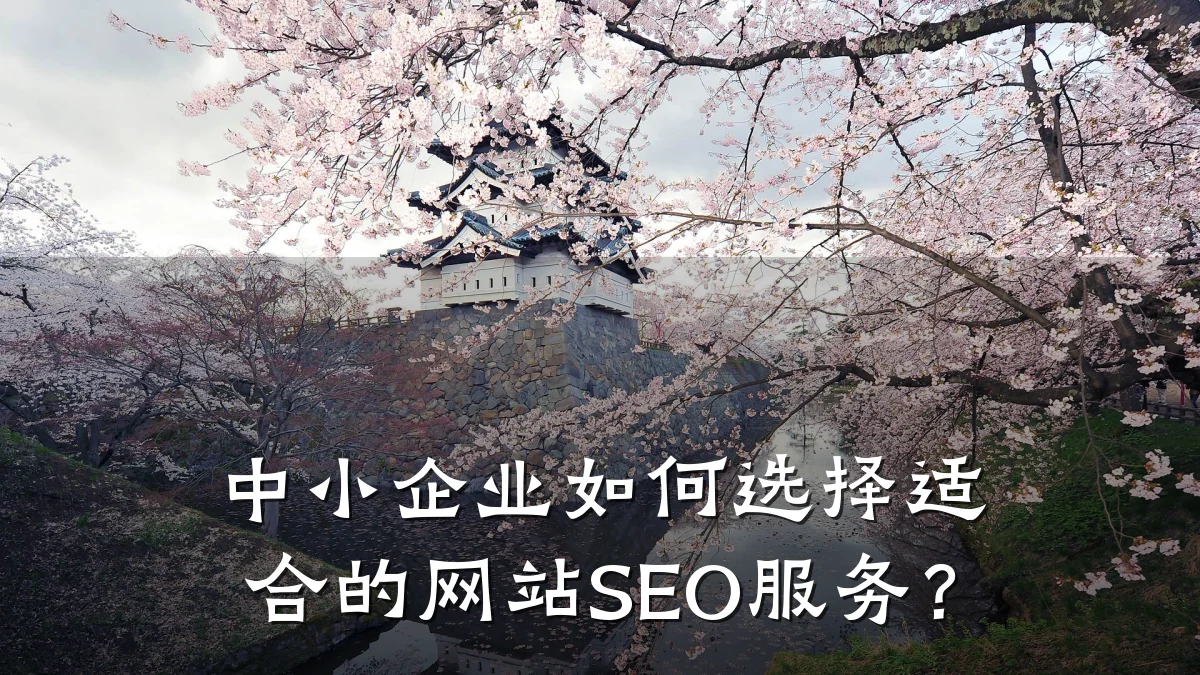 中小企业如何选择适合的网站SEO服务?