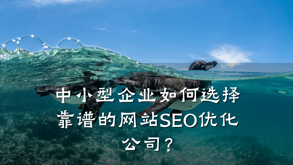 中小型企业如何选择靠谱的网站SEO优化公司?