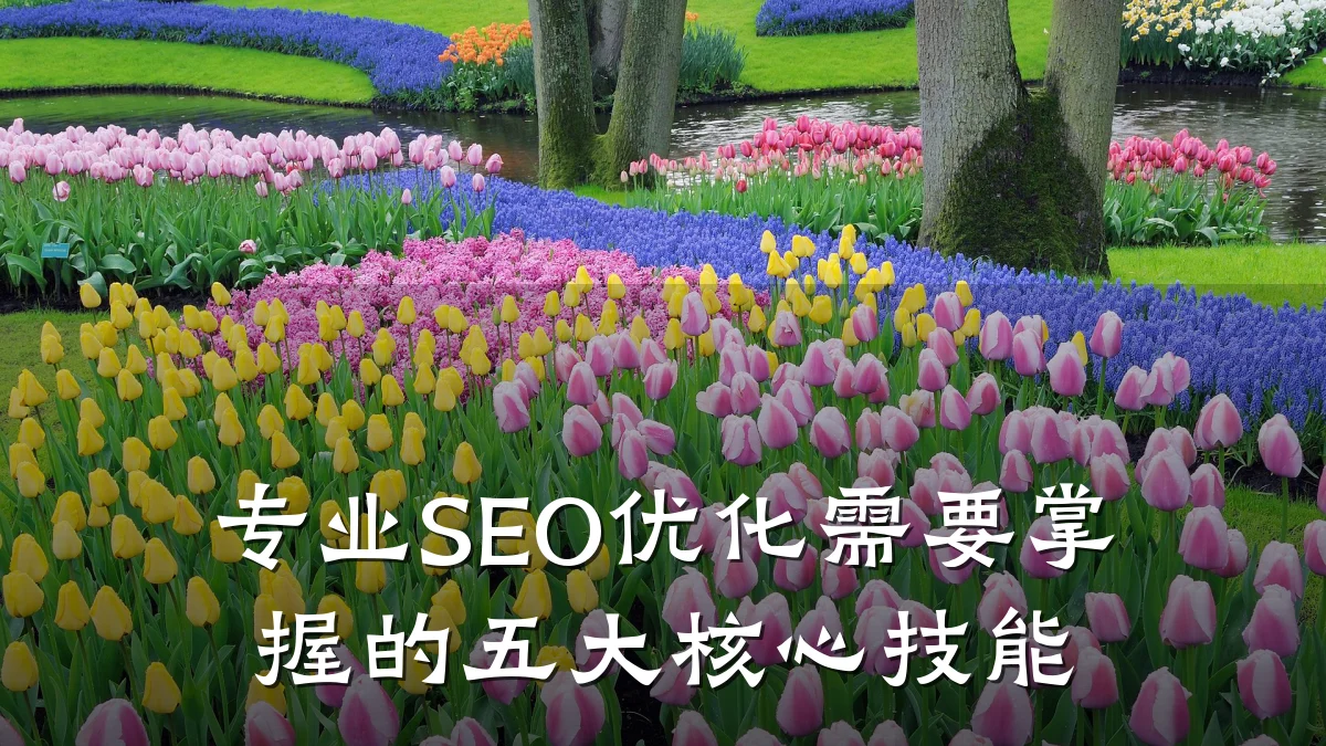 专业SEO优化需要掌握的五大核心技能