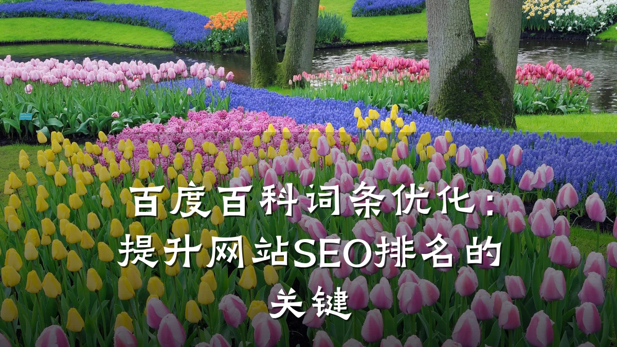 百度百科词条优化:提升网站SEO排名的关键