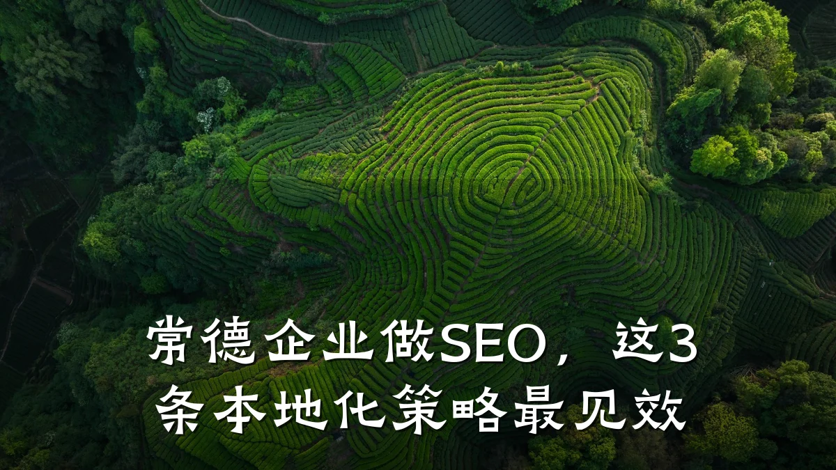 常德企业做SEO,这3条本地化策略最见效