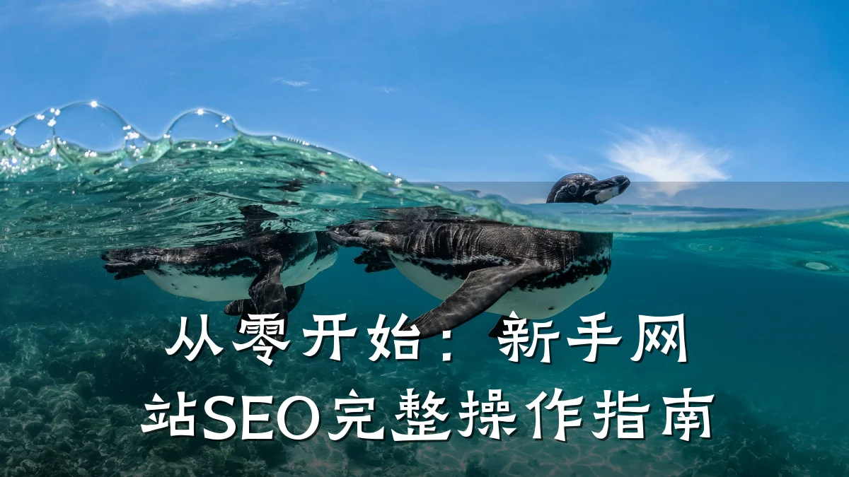 从零开始:新手网站SEO完整操作指南