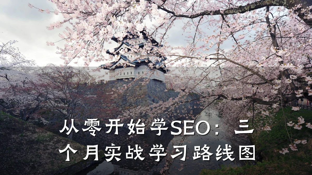 从零开始学SEO:三个月实战学习路线图