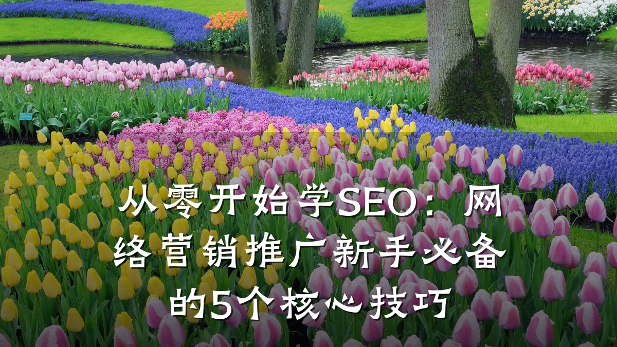 从零开始学SEO:网络营销推广新手必备的5个核心技巧