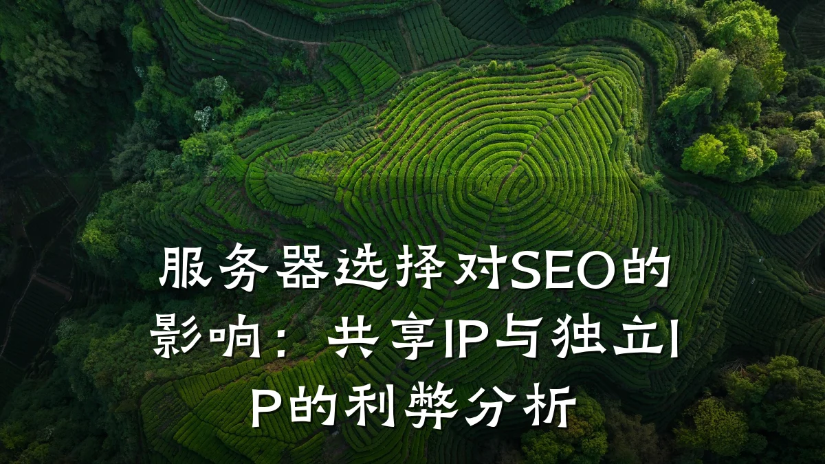 服务器选择对SEO的影响:共享IP与独立IP的利弊分析