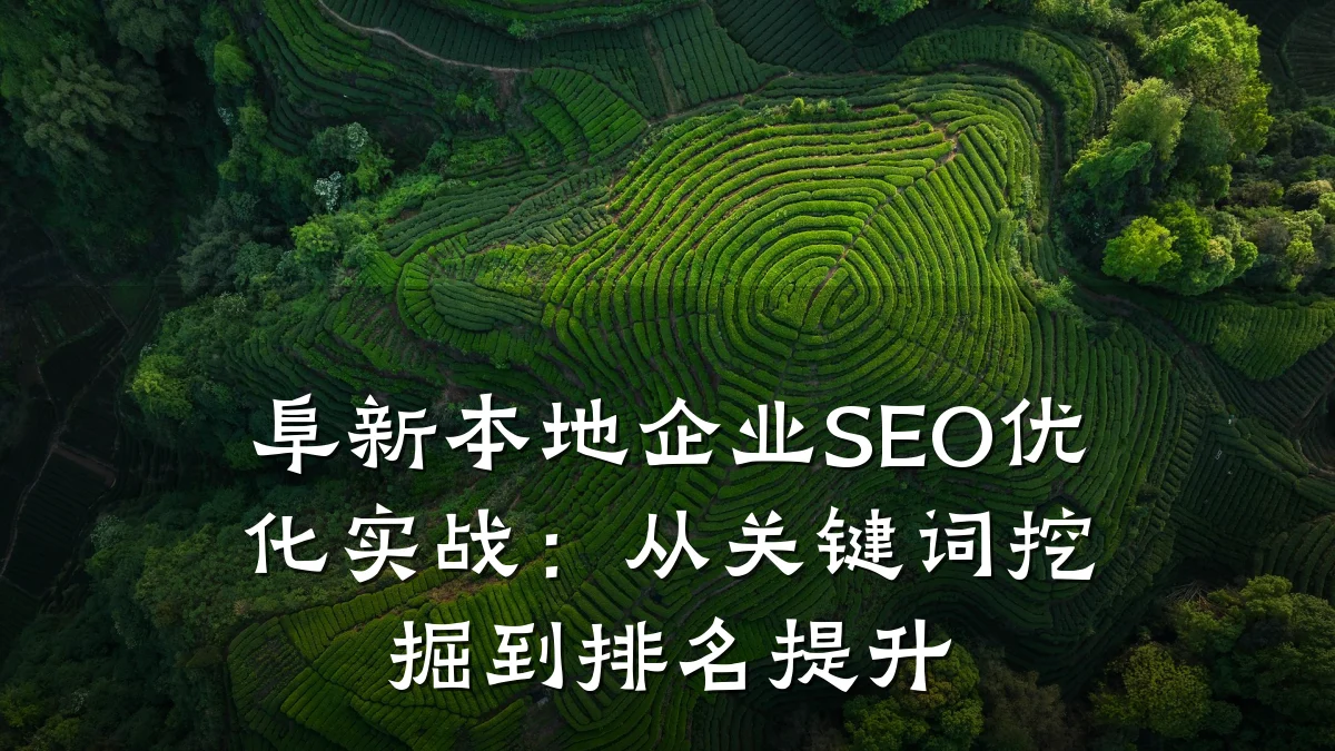 阜新本地企业SEO优化实战:从关键词挖掘到排名提升